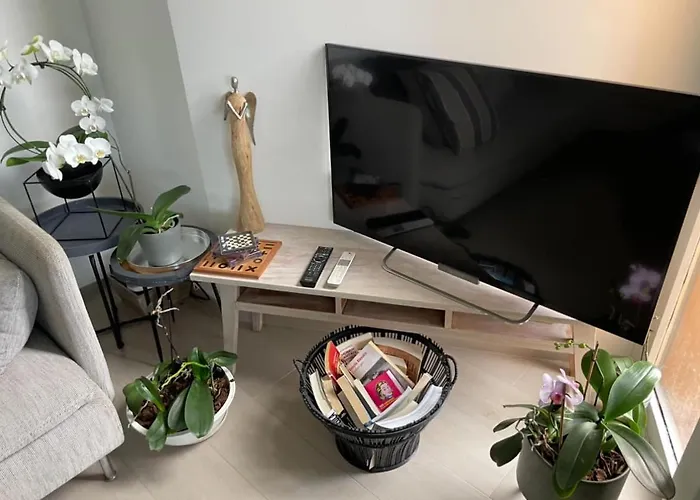 Pully Lakeside Street And Direct Bus To Train Station * Лозана